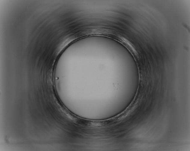 X0000093420794200710120855