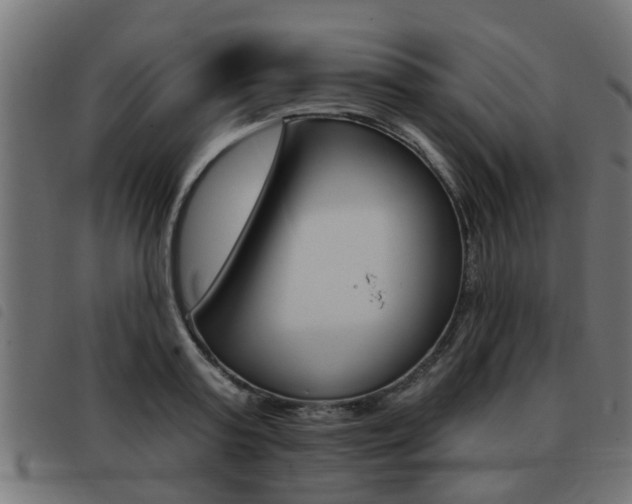 X0000093420795200710120855