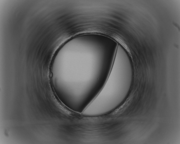X0000093420797200710120855