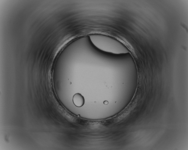 X0000093420798200710120855