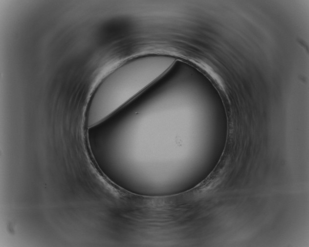 X0000093420799200710120855