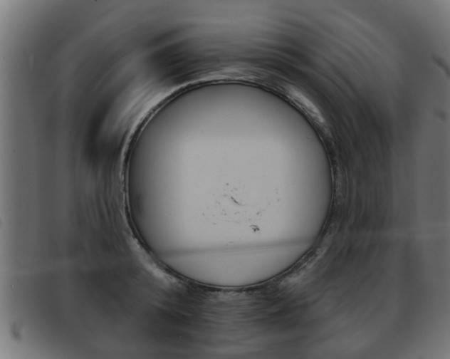 X0000093420800200710120855