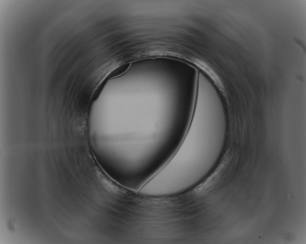 X0000093420801200710120855