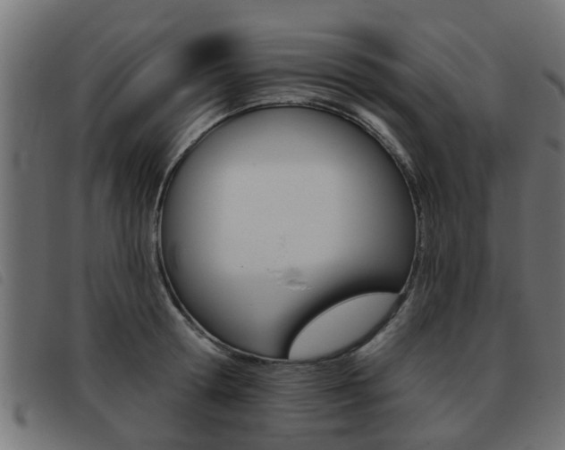X0000093420802200710120855