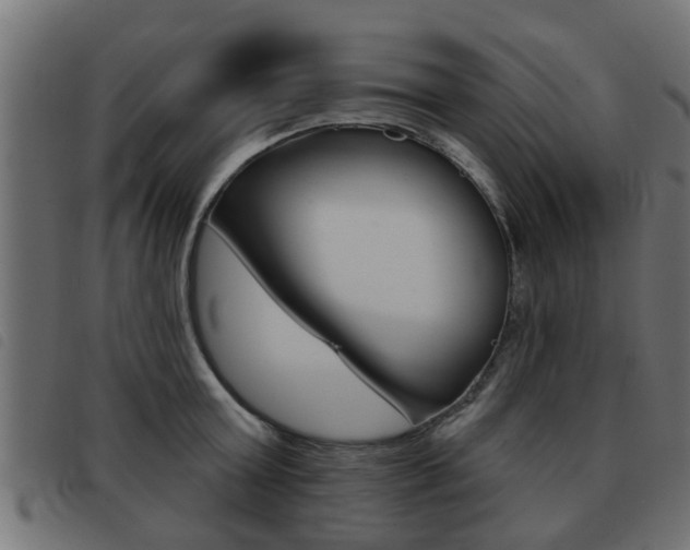 X0000093420803200710120855