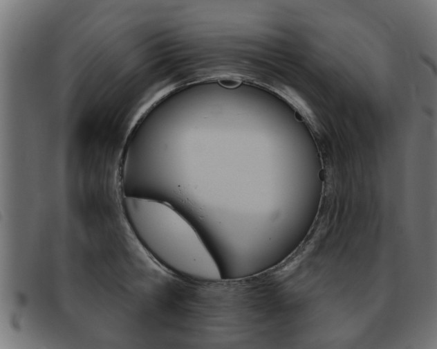 X0000093420806200710120855