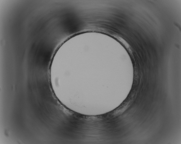 X0000093420807200710120855
