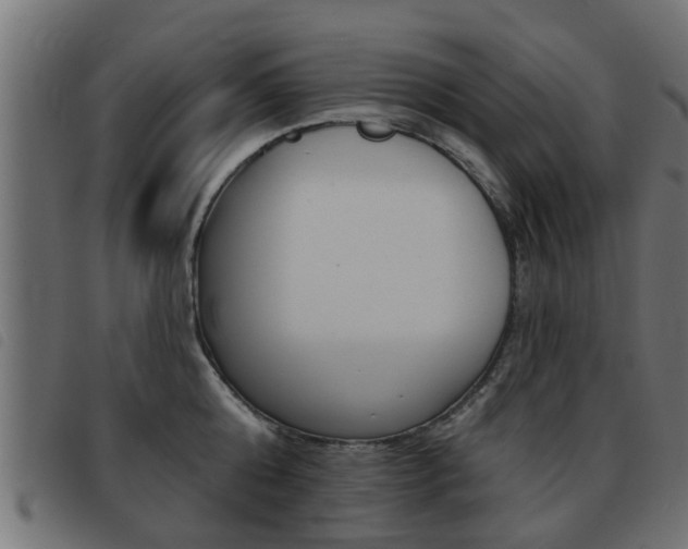 X0000093420808200710120855