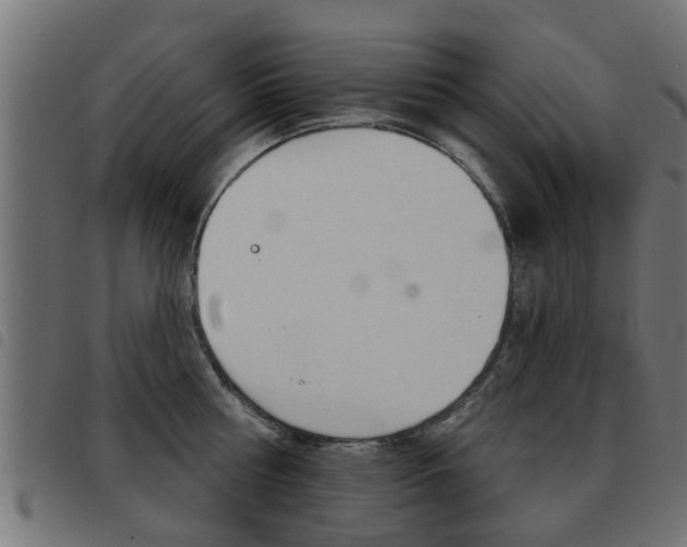 X0000093420810200710120855