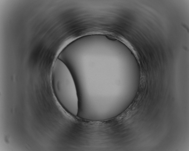 X0000093420811200710120855