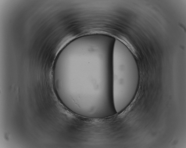 X0000093420814200710120855