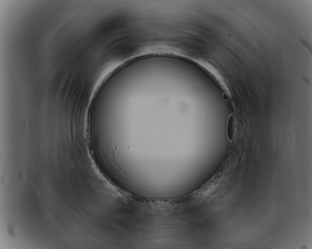 X0000093420815200710120855