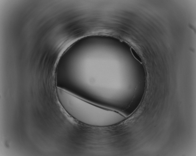 X0000093420816200710120855