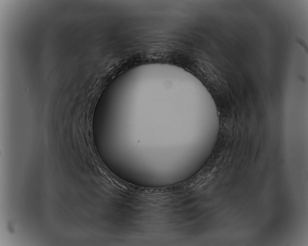 X0000093420817200710120854