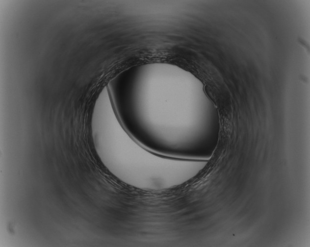 X0000093420818200710120855