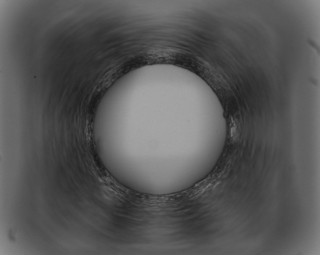 X0000093420819200710120855