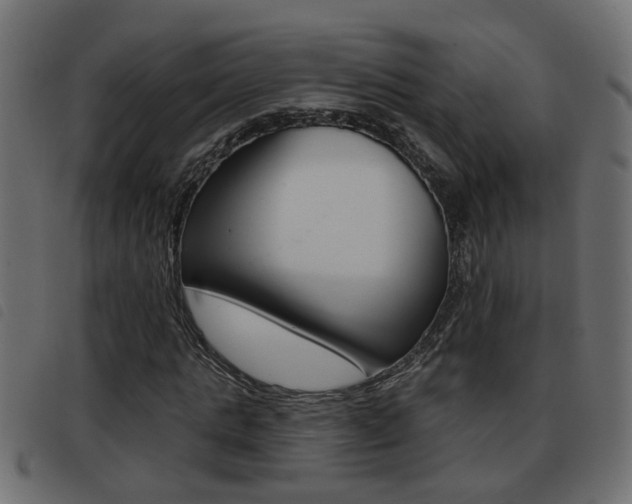 X0000093420821200710120855