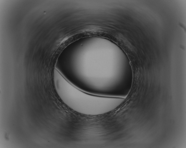 X0000093420822200710120855