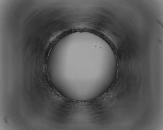 X0000093420823200710120855