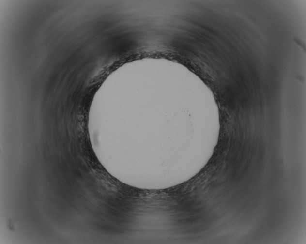 X0000093420824200710120855