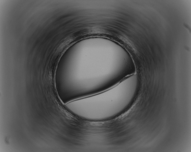 X0000093420825200710120855