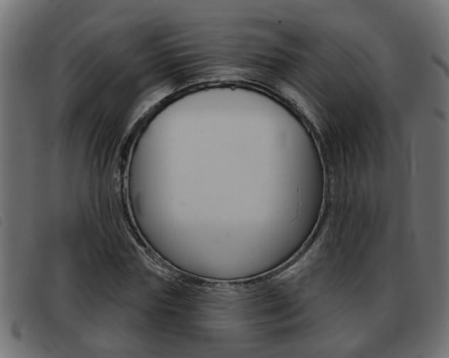 X0000093420827200710120855