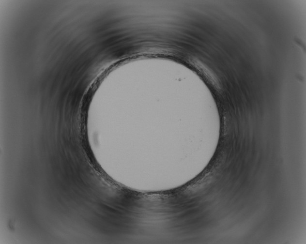 X0000093420828200710120855