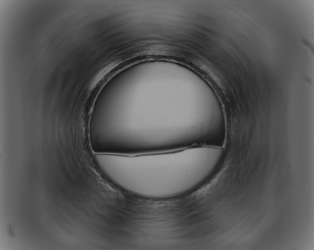 X0000093420829200710120855