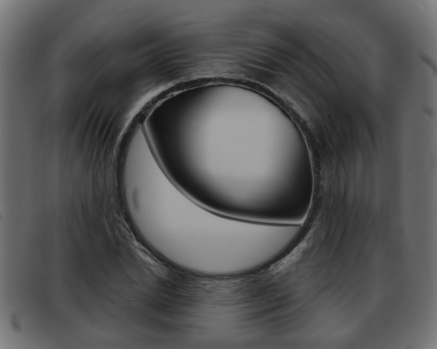 X0000093420830200710120855