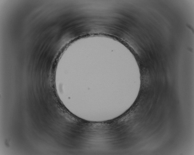 X0000093420832200710120855