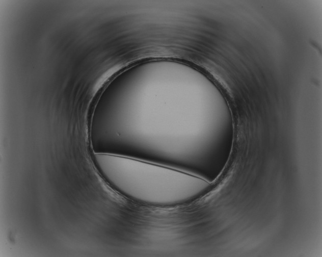 X0000093420837200710120855