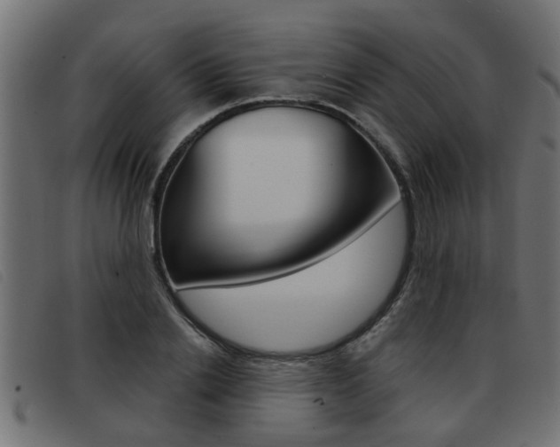 X0000093420838200710120855