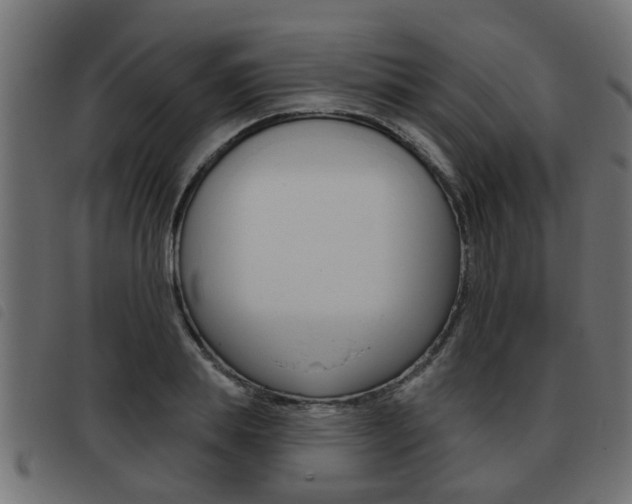 X0000093420839200710120855