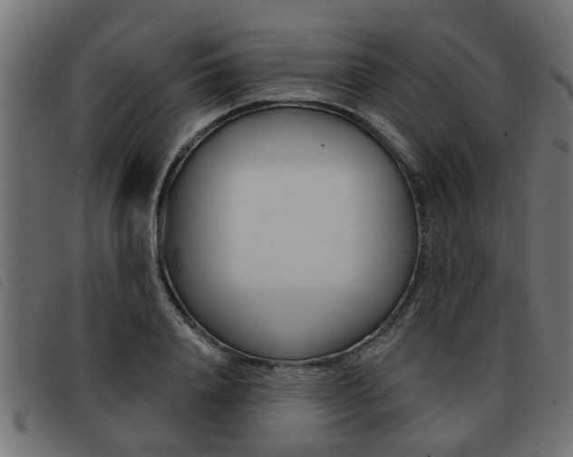 X0000093420840200710120855