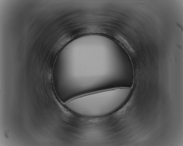 X0000093420841200710120855