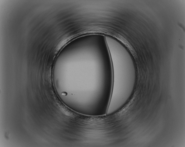 X0000093420842200710120855