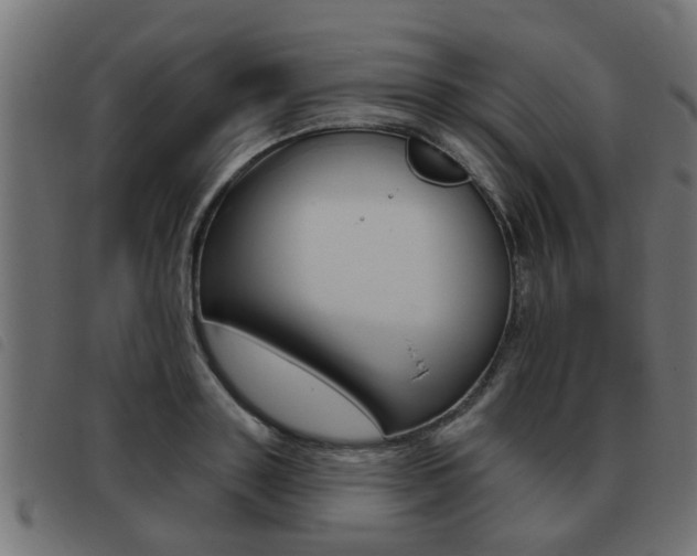 X0000093420843200710120855