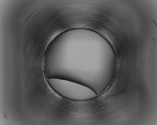 X0000093420847200710120855