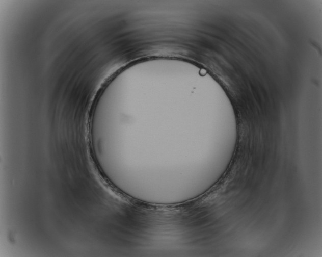 X0000093420848200710120855