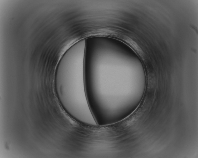 X0000093420850200710120855