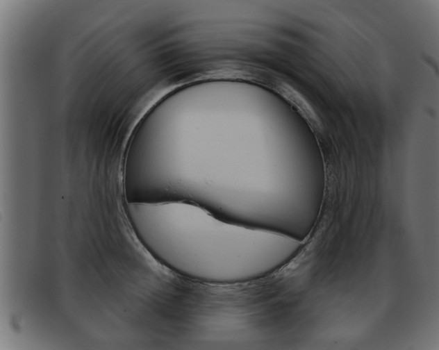 X0000093420852200710120855