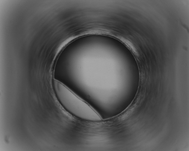 X0000093420854200710120855