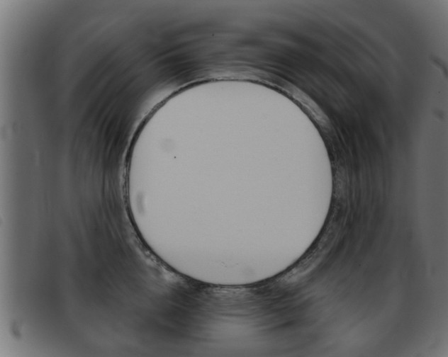 X0000093420856200710120855
