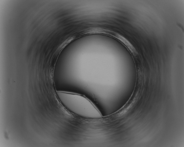 X0000093420857200710120855