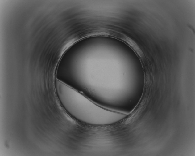 X0000093420858200710120855