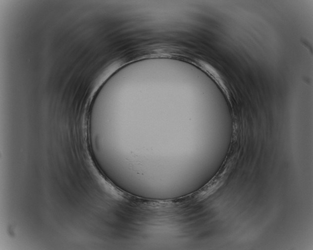 X0000093420859200710120855