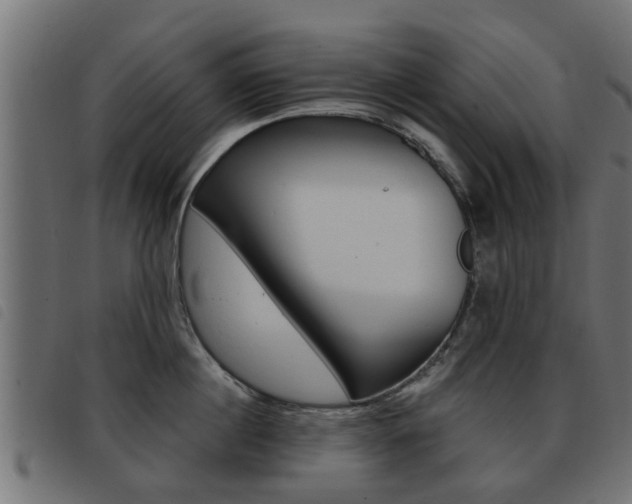X0000093420860200710120855