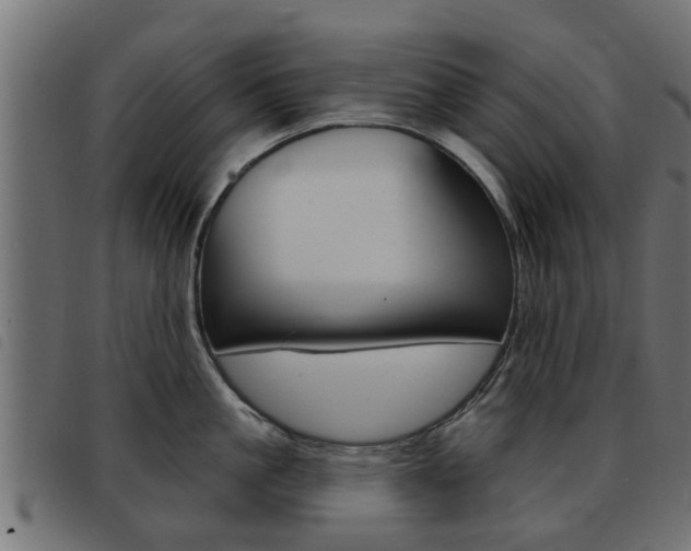 X0000093420861200710120855