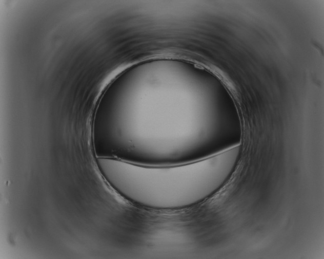 X0000093420862200710120855