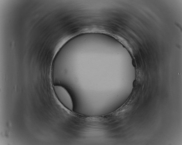 X0000093420863200710120855